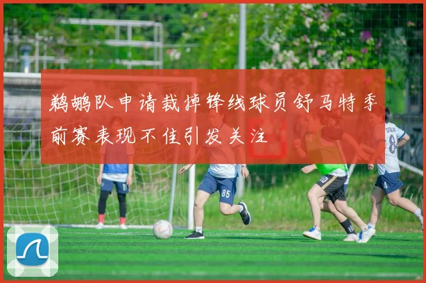鹈鹕队申请裁掉锋线球员舒马特季前赛表现不佳引发关注
